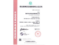 重慶羞羞视频免费观看入口設計